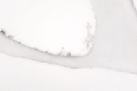 لوح حجري كوارتز كلكتا الاصطناعي أبيض NSF مصدق على Benchtop