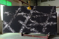 NSF Carrara Quartz Vanity Top لحوض Undermout المستطيل
